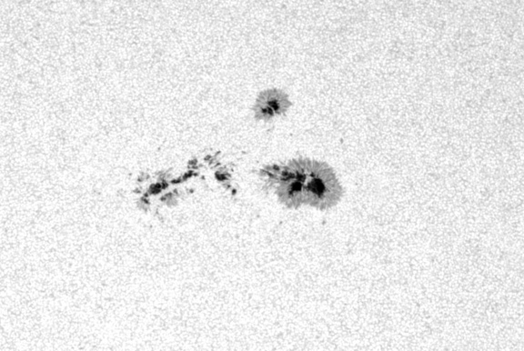 Merging Sunspots